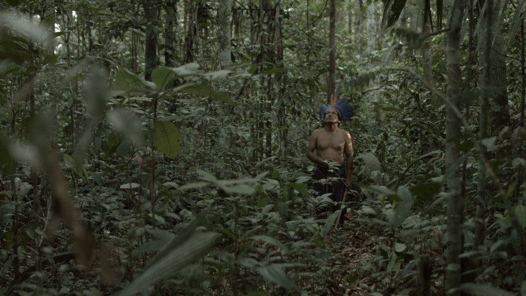 Ou est la jungle? - Where is the Jungle? (Iván Castiñeiras, 2015)